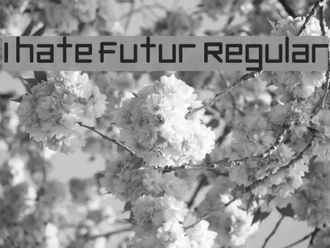 I hate futur Regular Шрифта examples