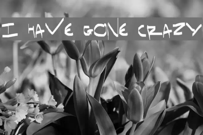 I have gone crazy Шрифта examples