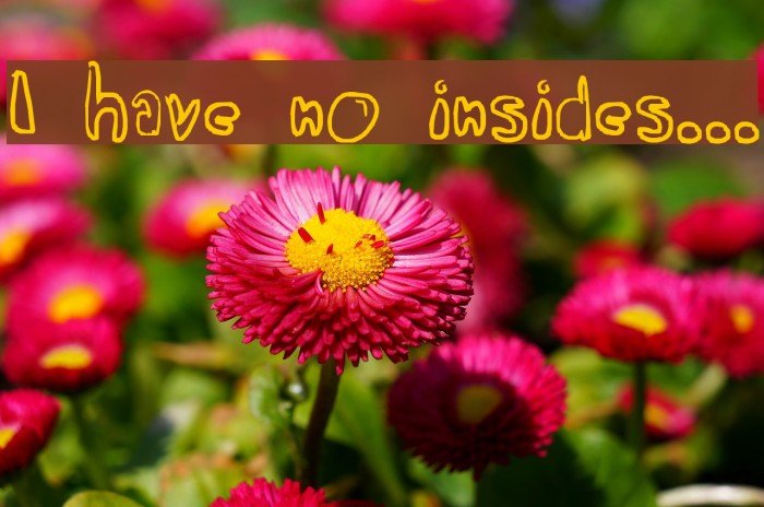 I have no insides... Font examples