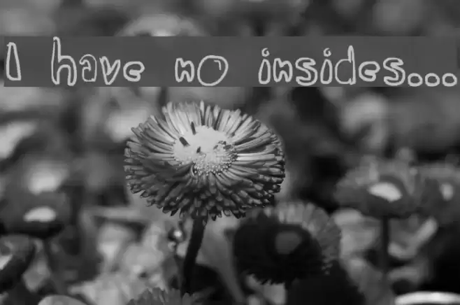 I have no insides... फ़ॉन्ट examples