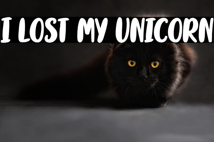 I lost my Unicorn Example 3
