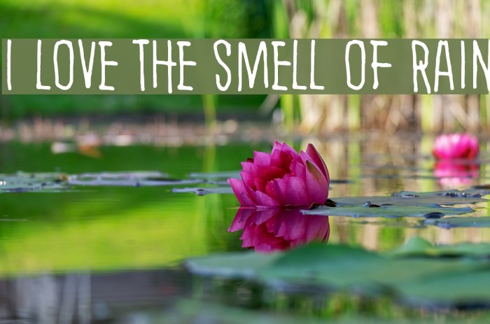I love the smell of rain Font examples