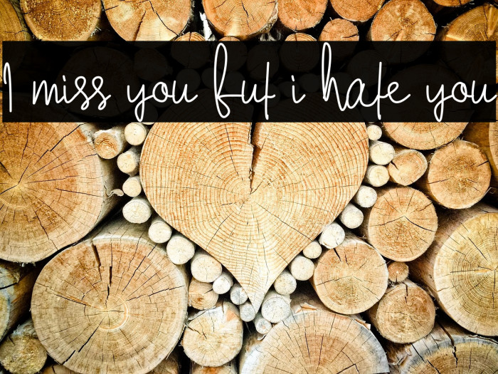 I miss you but i hate you Example 1