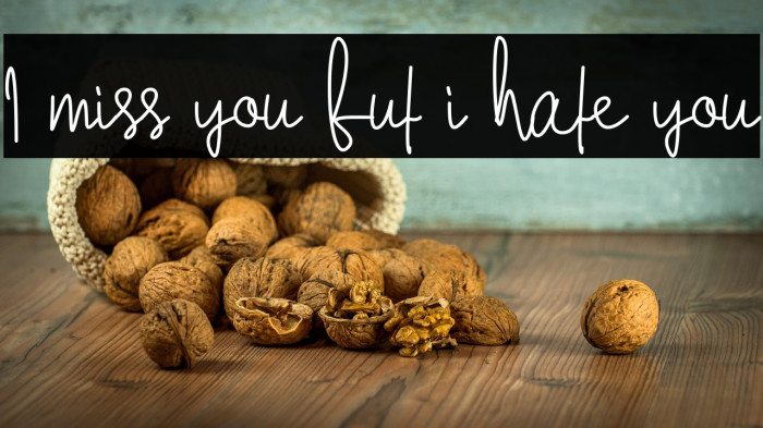 I miss you but i hate you Example 2