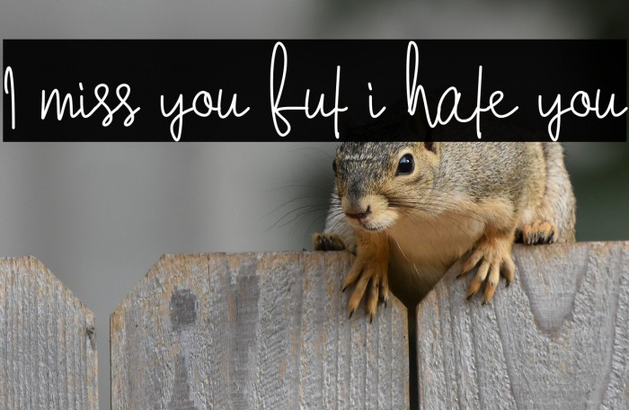 I miss you but i hate you Example 3