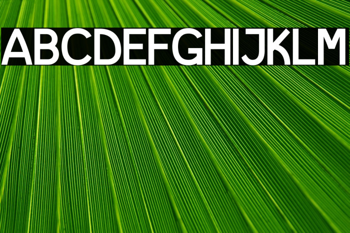 I shot the Serif Example 1