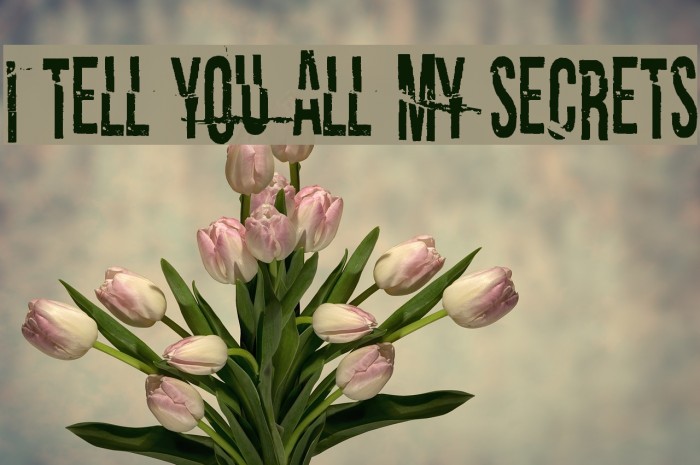 I tell you all my secrets Font examples