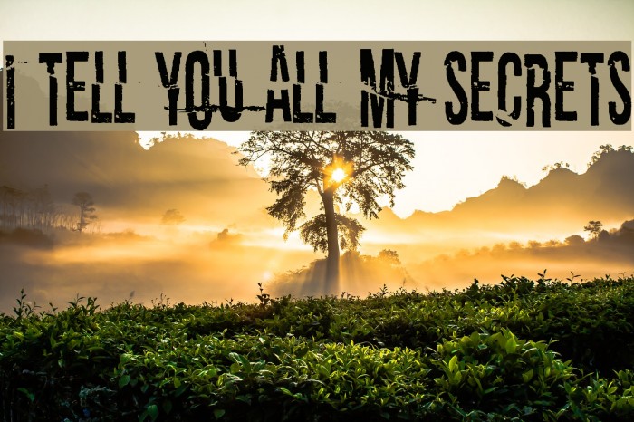 I tell you all my secrets Font examples