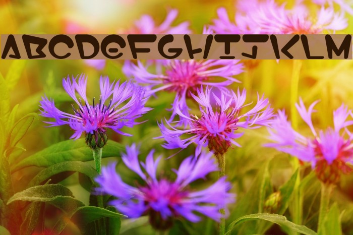 I2Eos E Font examples