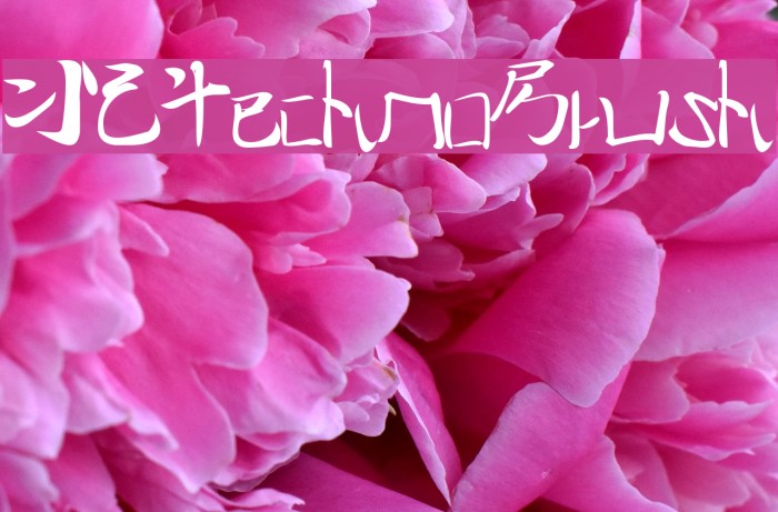 I2technoBrush Font examples