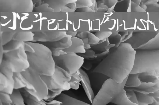I2technoBrush Schriftart examples