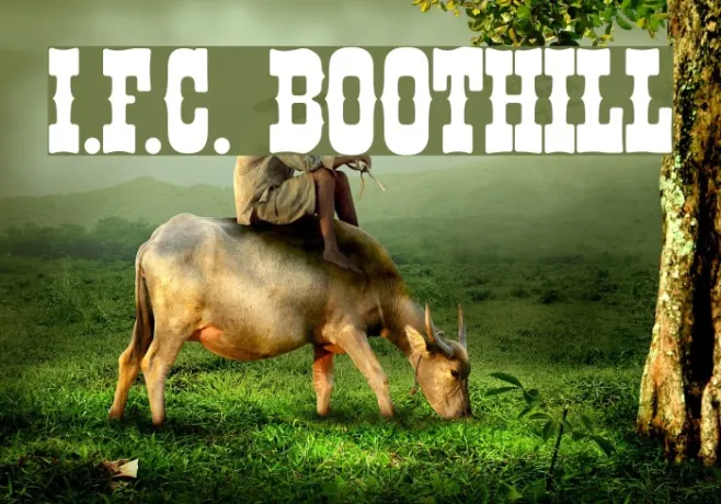 I.F.C. BOOTHILL Example 3
