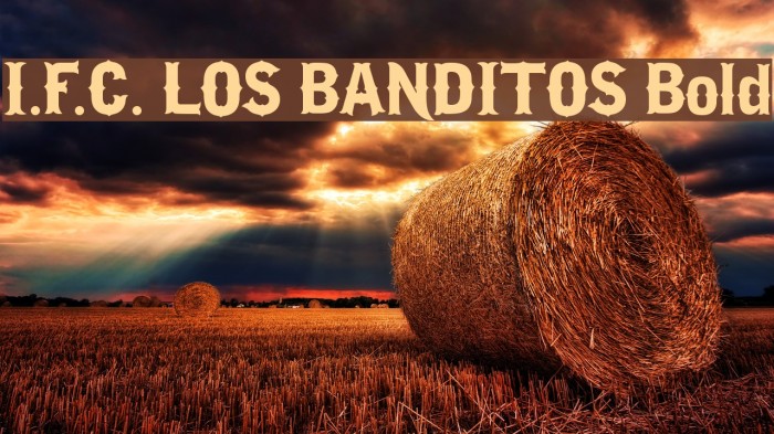 I.F.C. LOS BANDITOS Bold Font examples