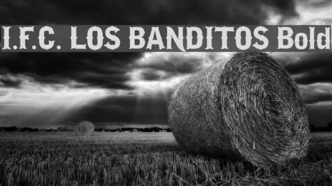 I.F.C. LOS BANDITOS Bold Font examples
