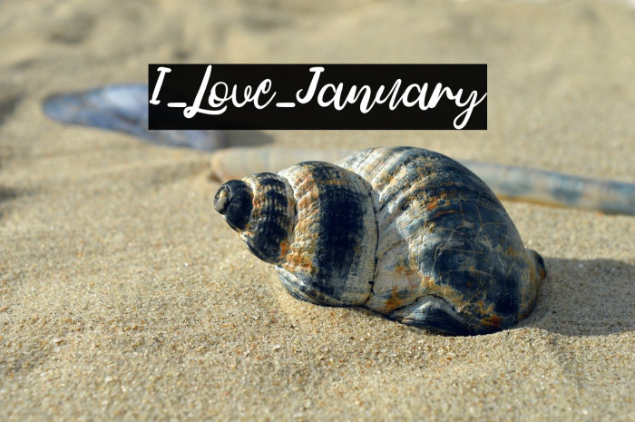 I_Love_January Example 3