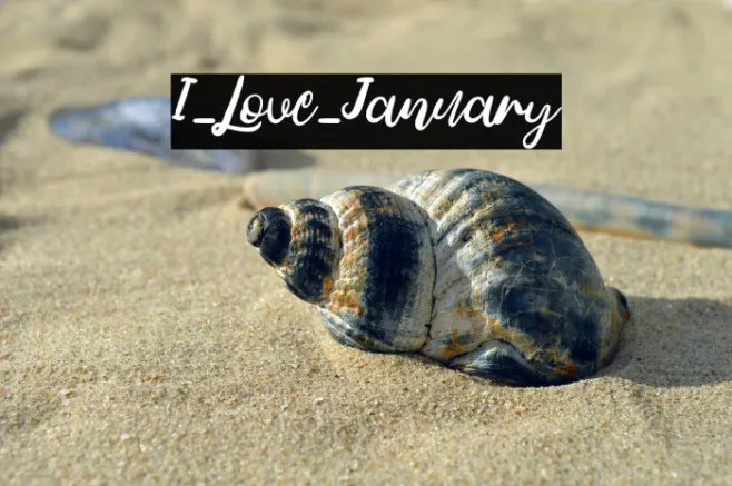 I_Love_January Example 3