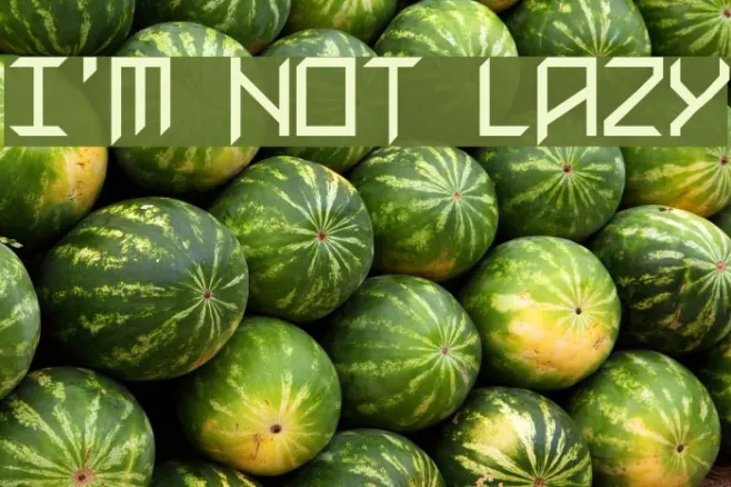 I'm Not Lazy Example 1