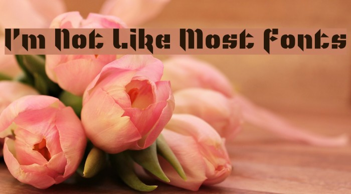 I'm Not Like Most Fonts Example 3
