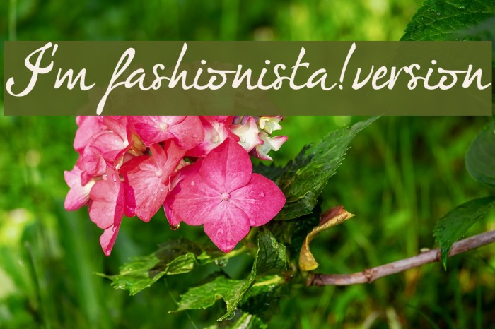 I'm fashionista!_DEMO-version Font examples