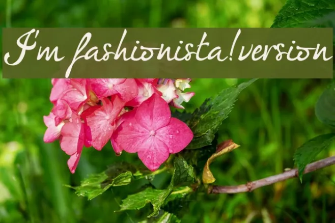 I'm fashionista!_DEMO-version Example 2