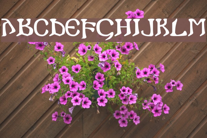i crashed into gothic Font examples