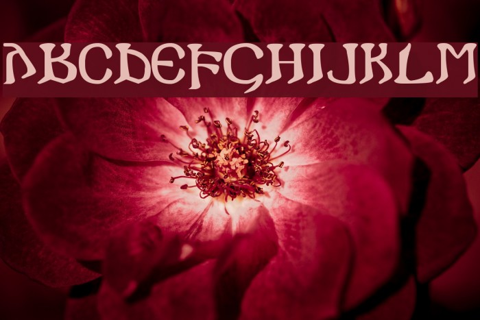 i crashed into gothic Font examples