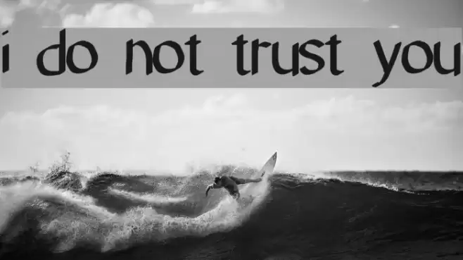 i do not trust you Font examples