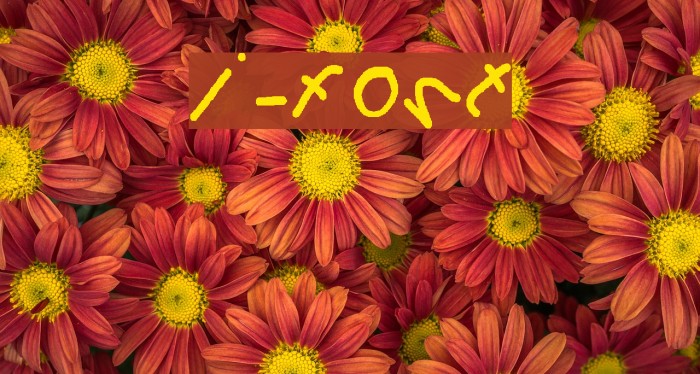 i-font Caratteri examples