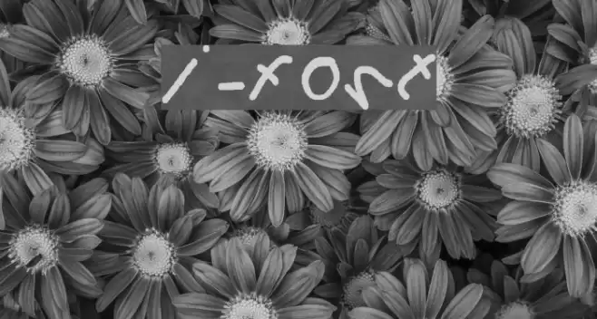 i-font Caratteri examples