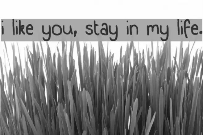 i like you, stay in my life. Font examples