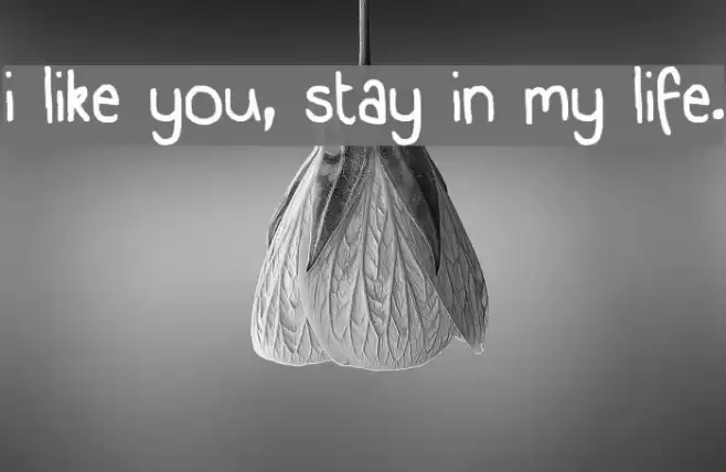 i like you, stay in my life. Font examples