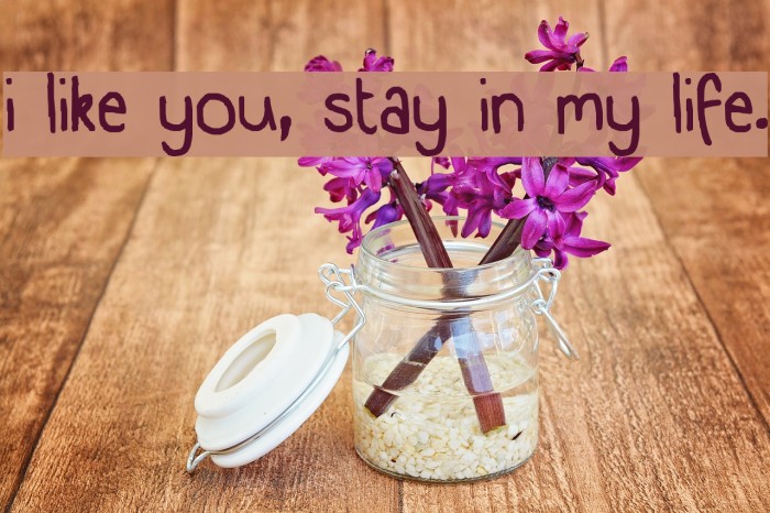 i like you, stay in my life. Font examples