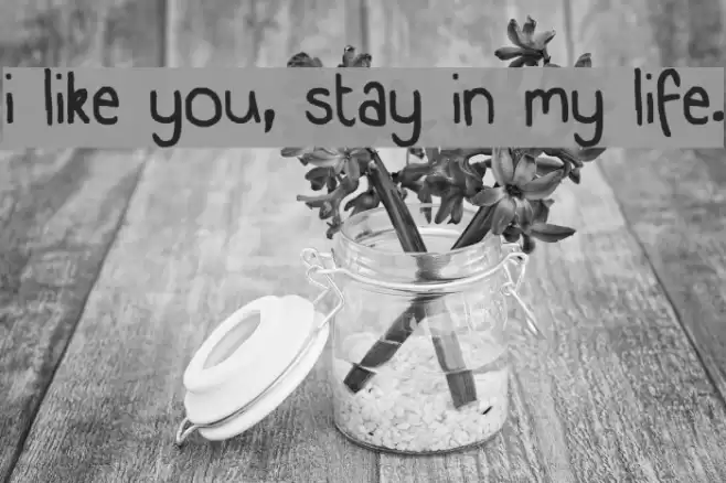 i like you, stay in my life. Font examples