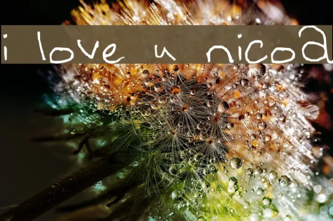 i love u nicoa Example 1