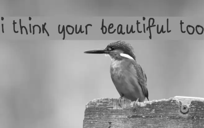 i think your beautiful too Font examples