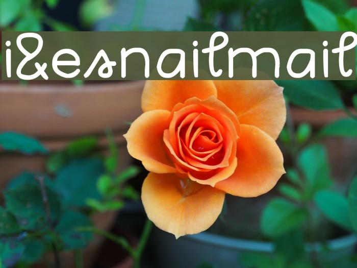 i&esnailmail Example 3