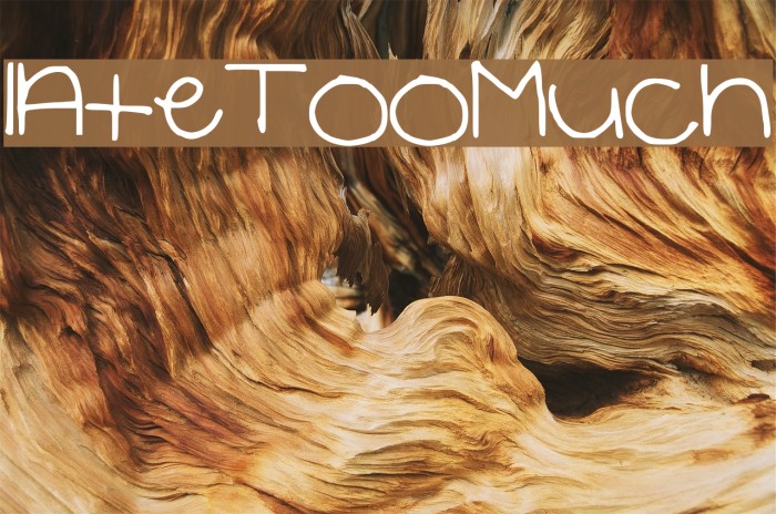 IAteTooMuch Example 2