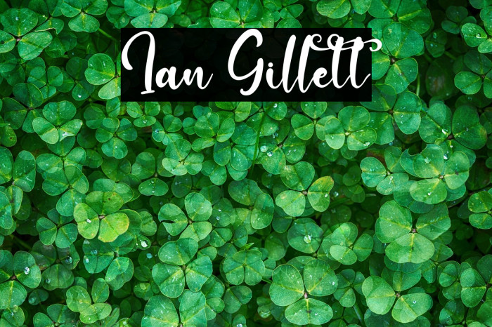 Ian Gillett Example 2