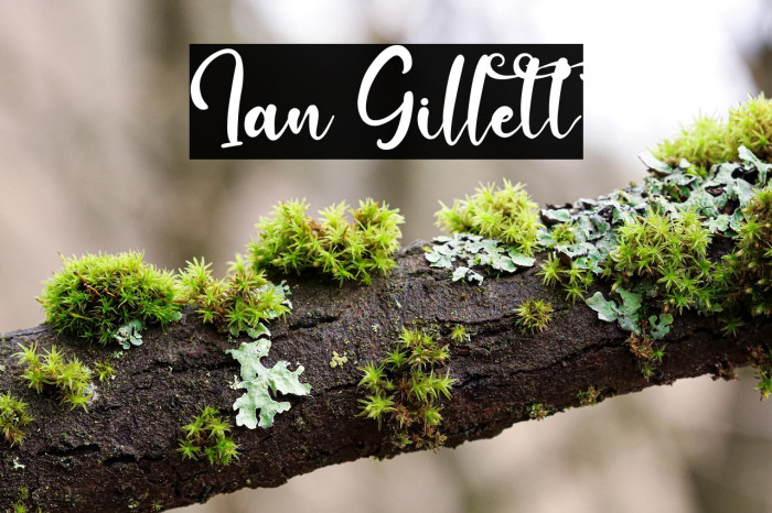 Ian Gillett Example 3