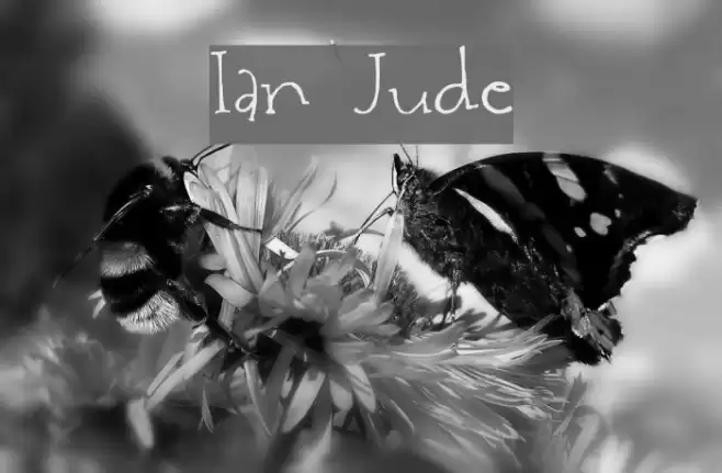 Ian Jude Font examples