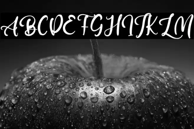 IanGillett Font examples