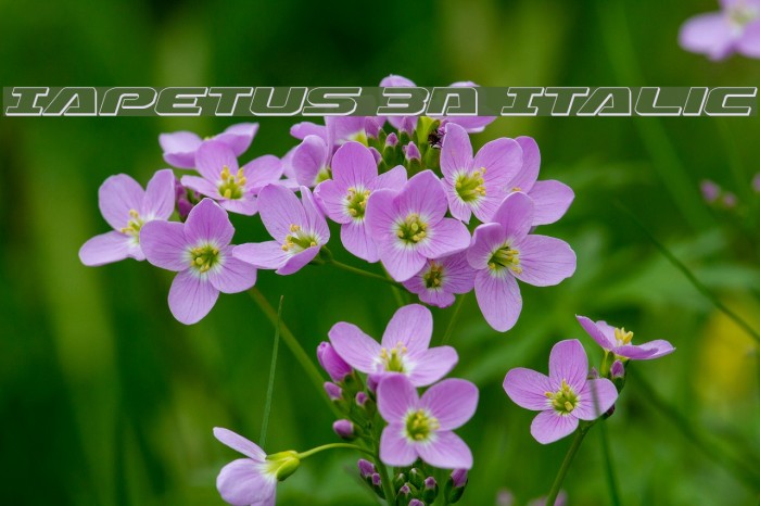 Iapetus 3D Italic Font examples