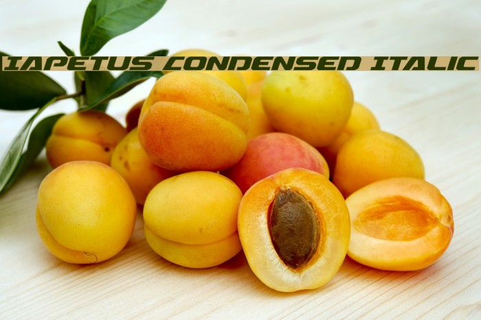 Iapetus Condensed Italic Example 1