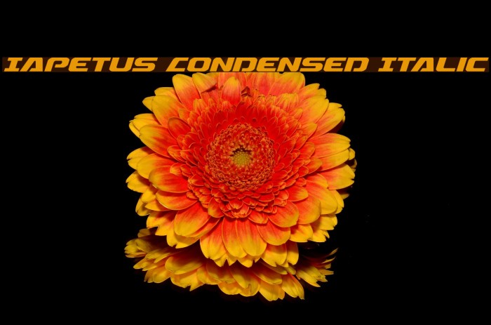 Iapetus Condensed Italic Example 2