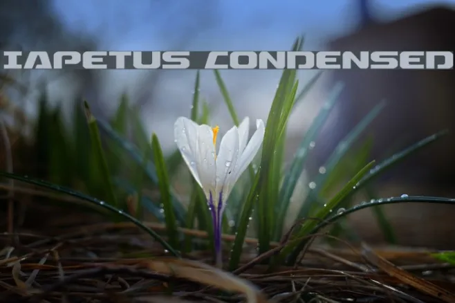 Iapetus Condensed Example 2
