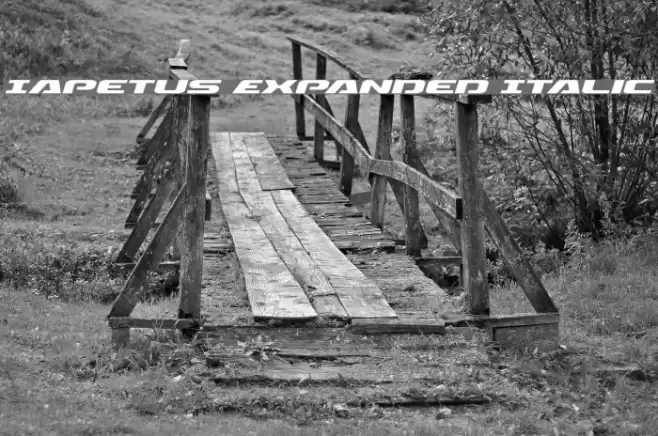 Iapetus Expanded Italic Font examples