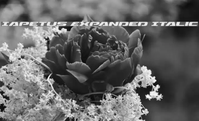 Iapetus Expanded Italic Font examples