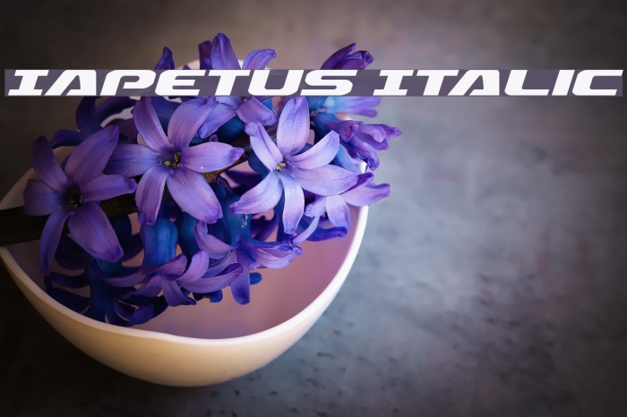 Iapetus Italic Font examples