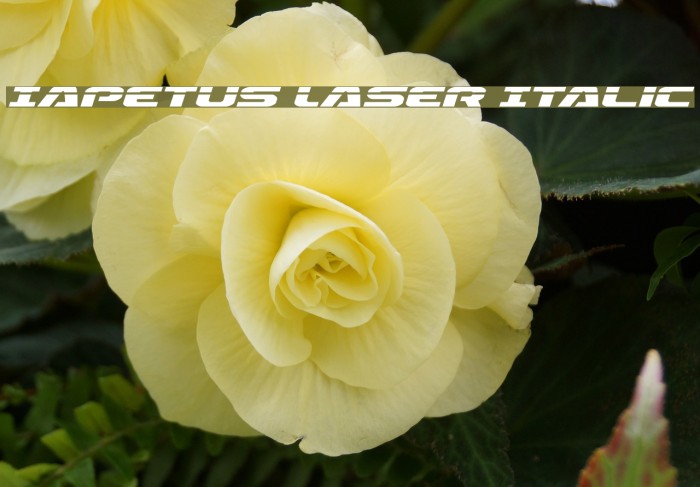Iapetus Laser Italic Font examples