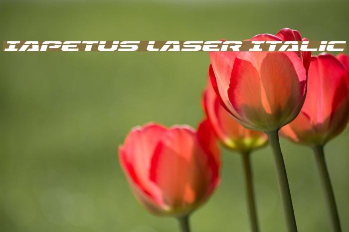 Iapetus Laser Italic Font examples